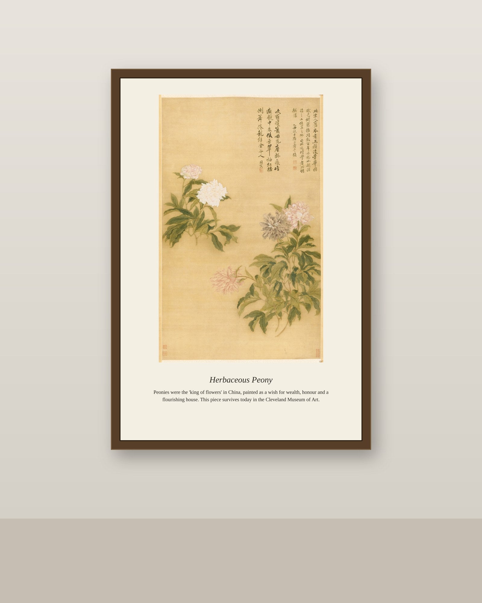 Herbaceous Peony antique botanical print shown framed on a wall in a styled room
