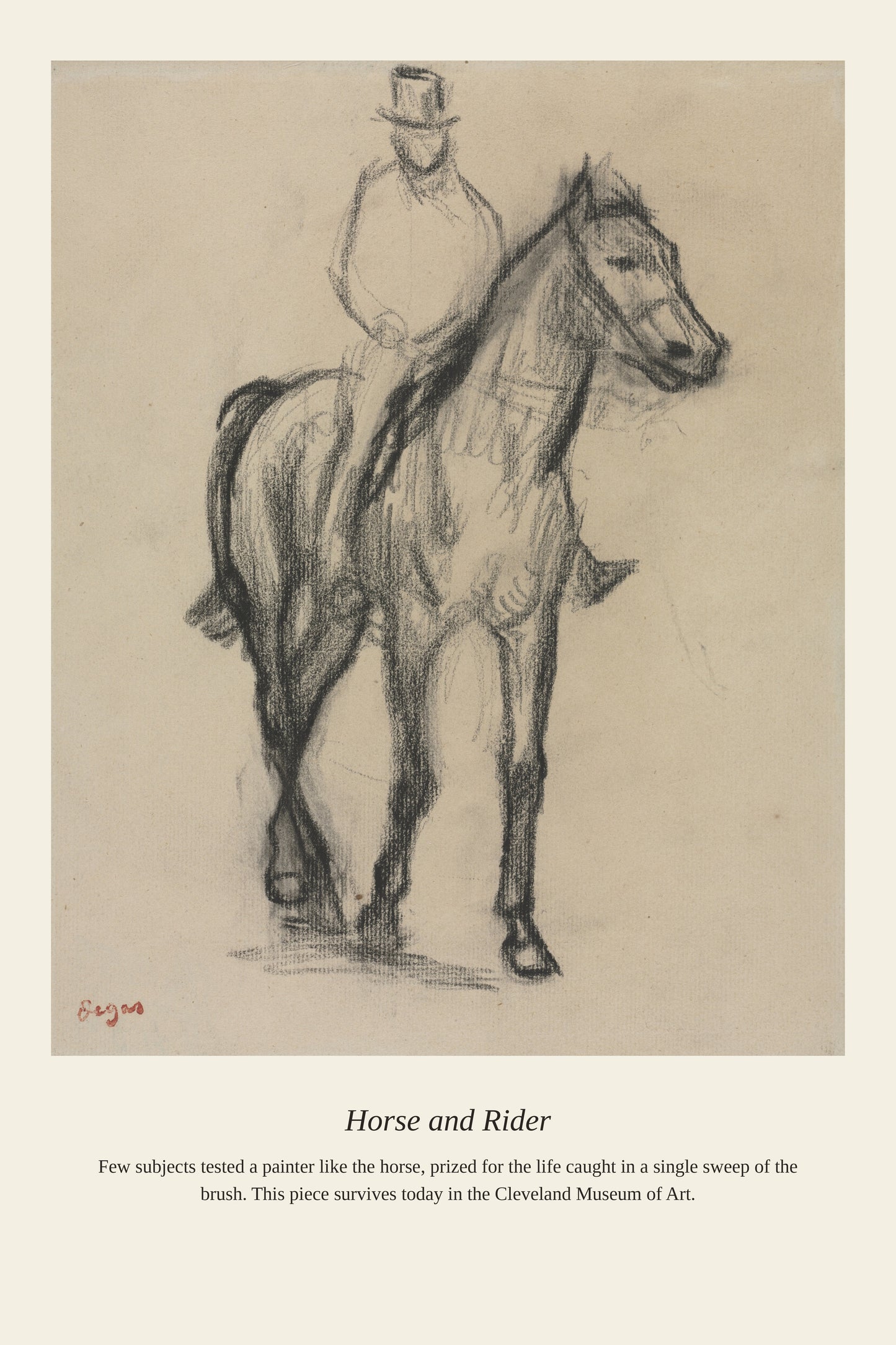 Horse and Rider - Antique Natural History Print