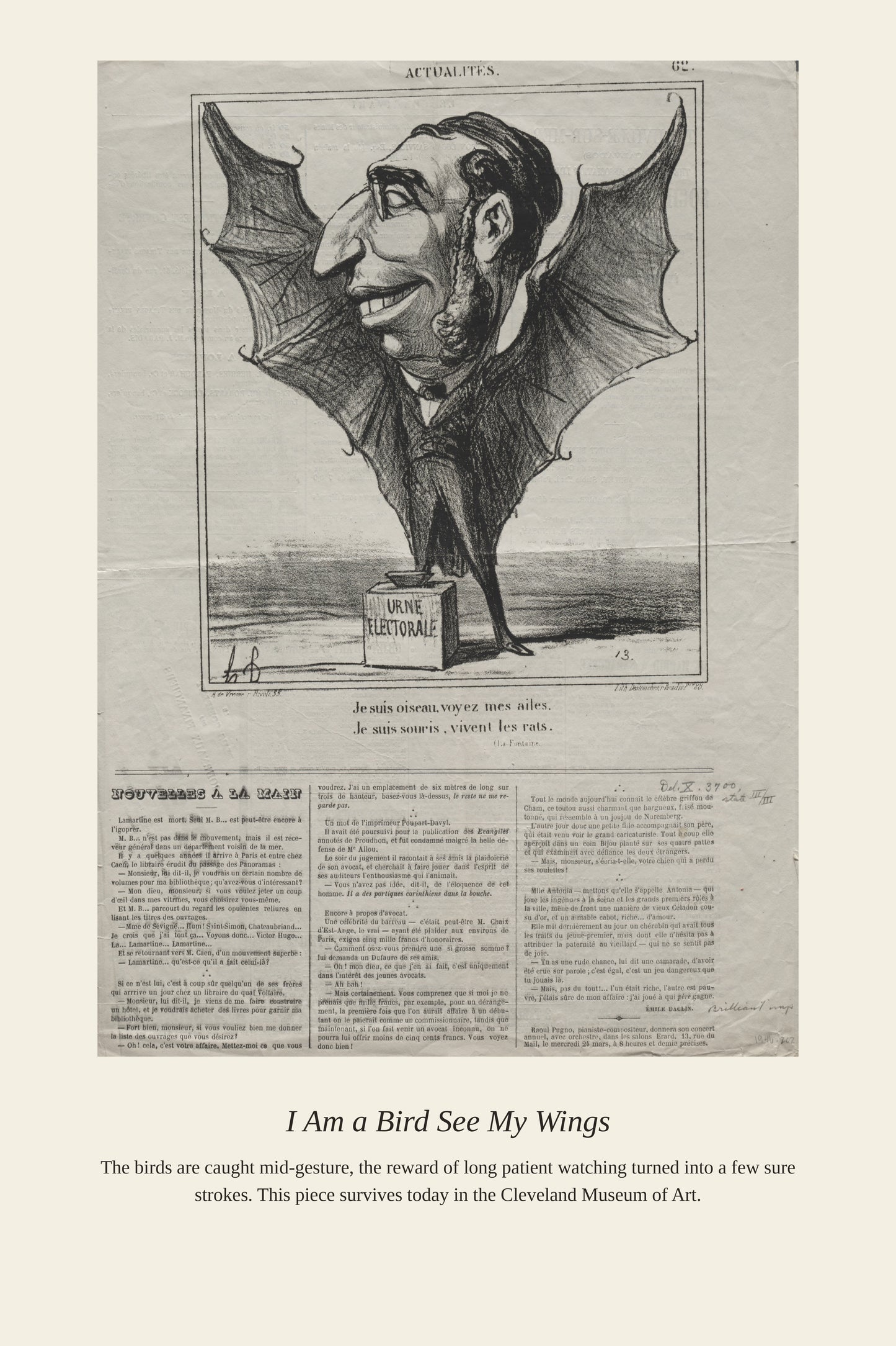 I Am a Bird See My Wings - Antique Natural History Print