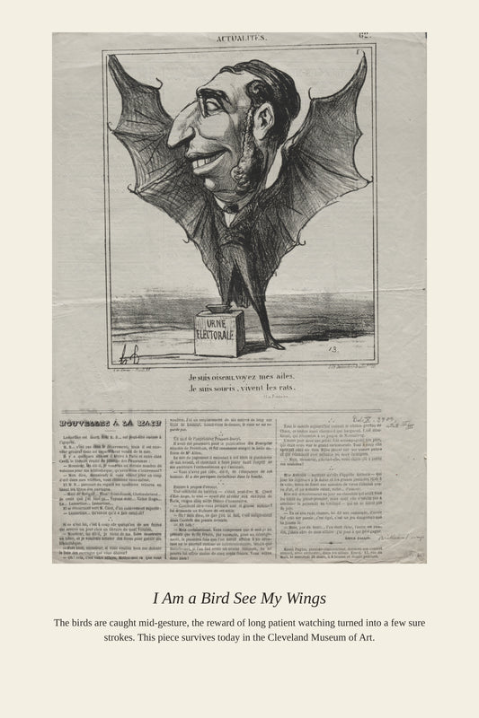 I Am a Bird See My Wings - Antique Natural History Print