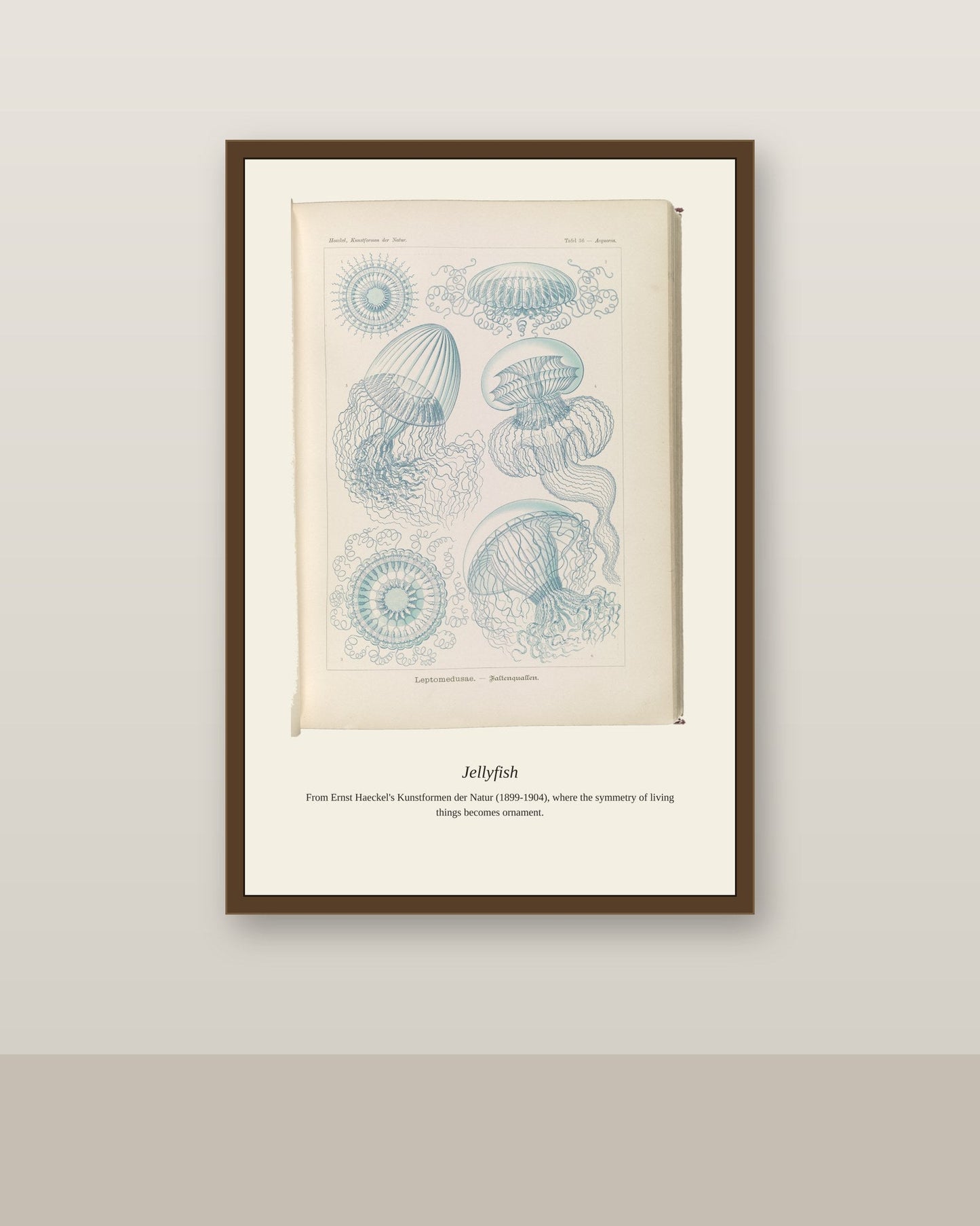 Jellyfish antique art print shown framed on a wall in a styled room