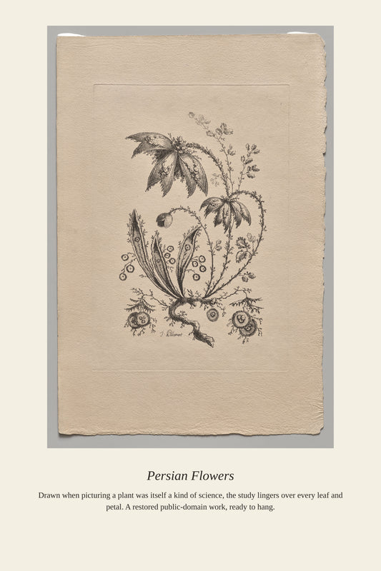 Persian Flowers - Antique Botanical Print