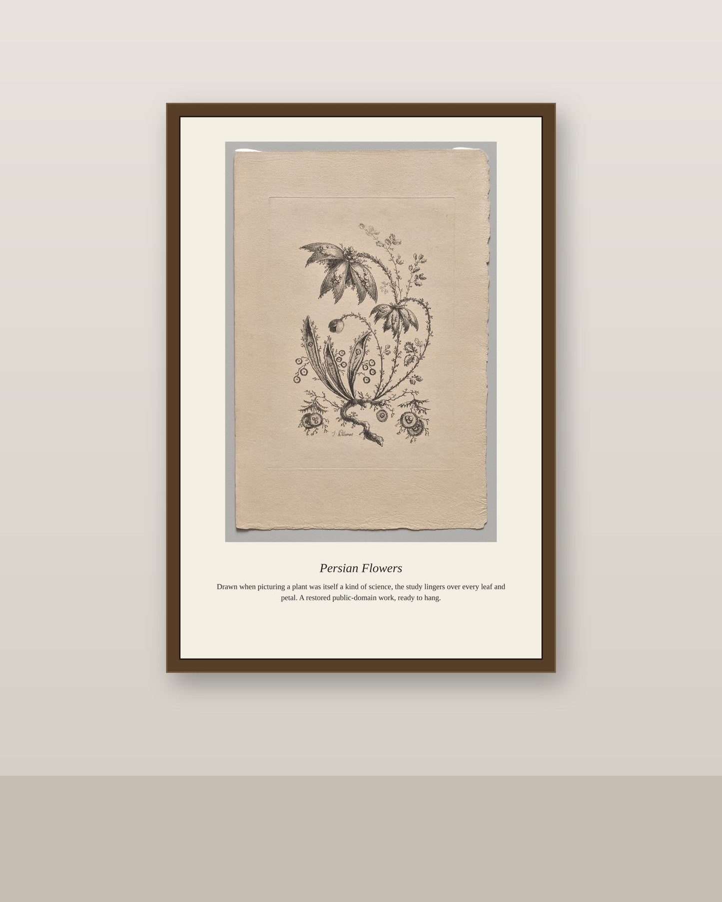 Persian Flowers antique botanical print shown framed on a wall in a styled room
