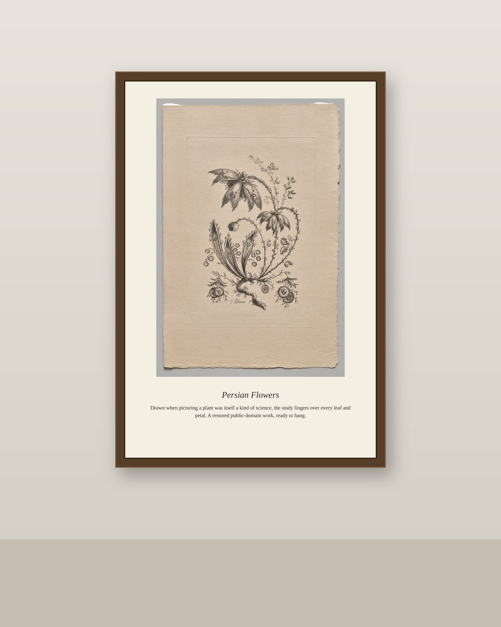 Persian Flowers antique botanical print shown framed on a wall in a styled room