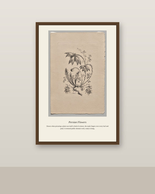 Persian Flowers antique botanical print shown framed on a wall in a styled room
