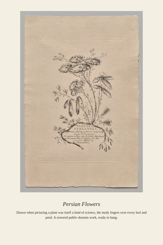 Persian Flowers (3) - Antique Botanical Print
