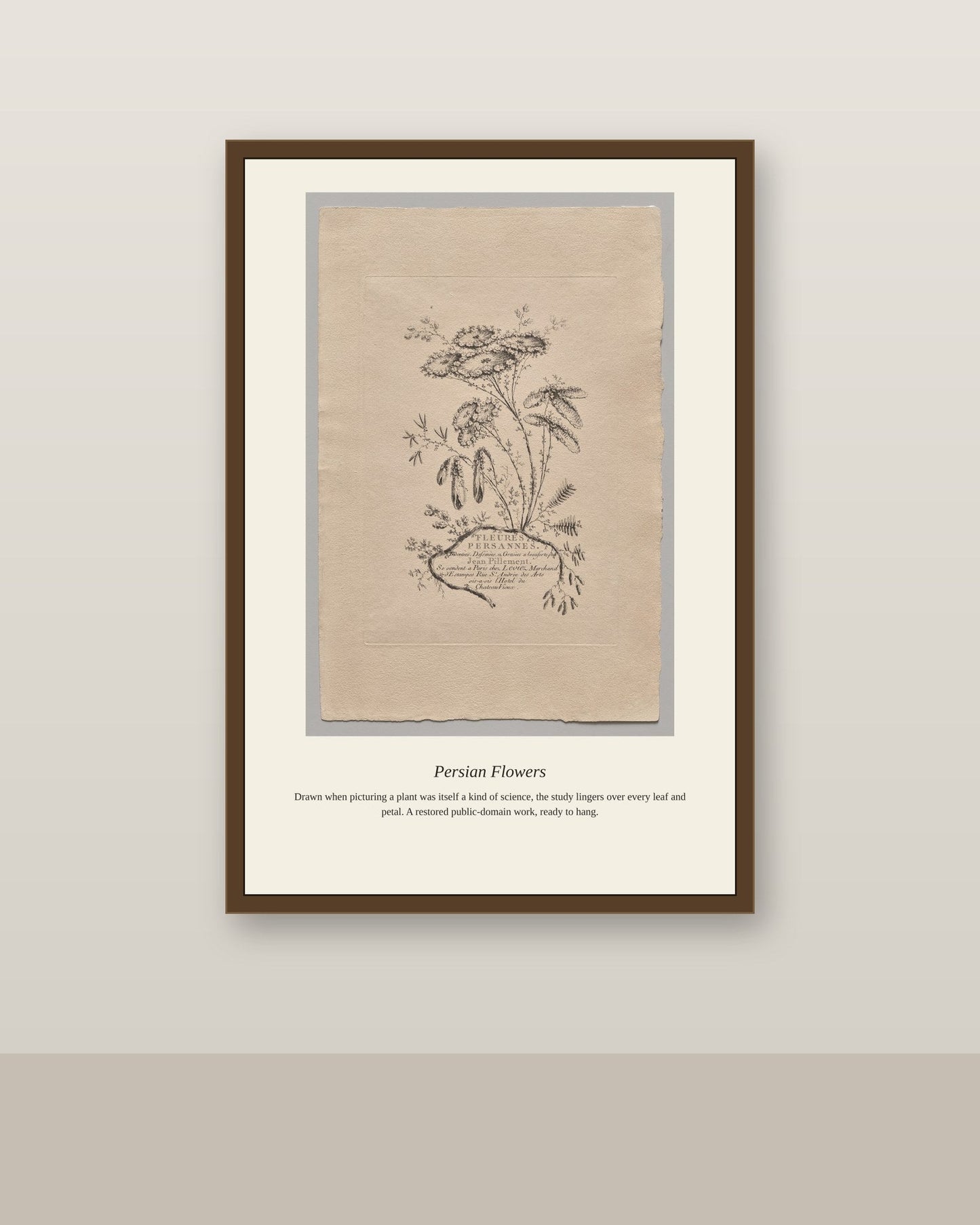 Persian Flowers (3) antique botanical print shown framed on a wall in a styled room