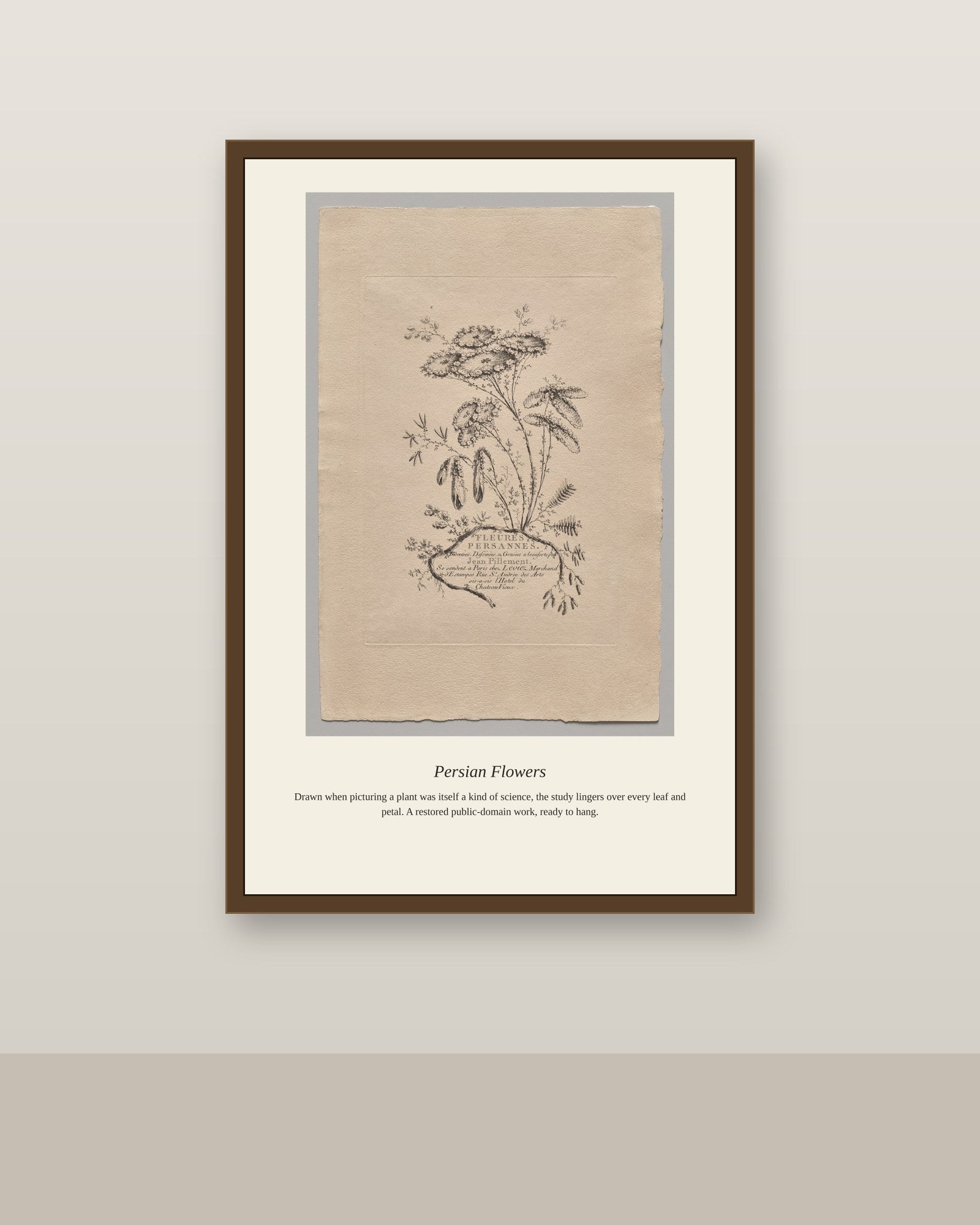 Persian Flowers (3) antique botanical print shown framed on a wall in a styled room