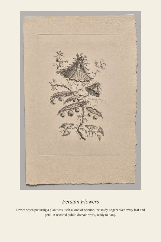 Persian Flowers (4) - Antique Botanical Print