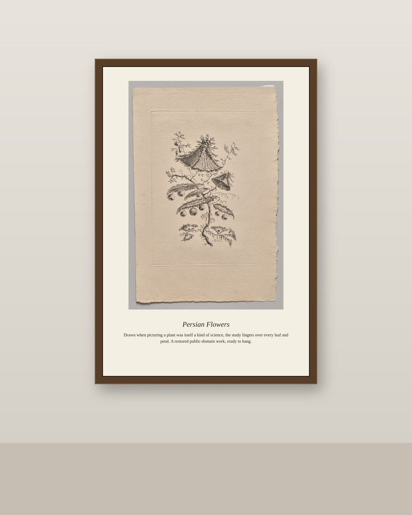 Persian Flowers (4) antique botanical print shown framed on a wall in a styled room