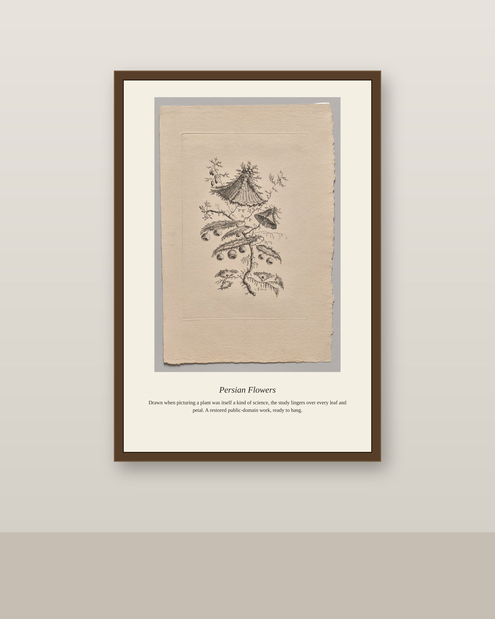 Persian Flowers (4) antique botanical print shown framed on a wall in a styled room