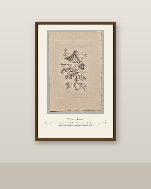 Persian Flowers (4) antique botanical print shown framed on a wall in a styled room