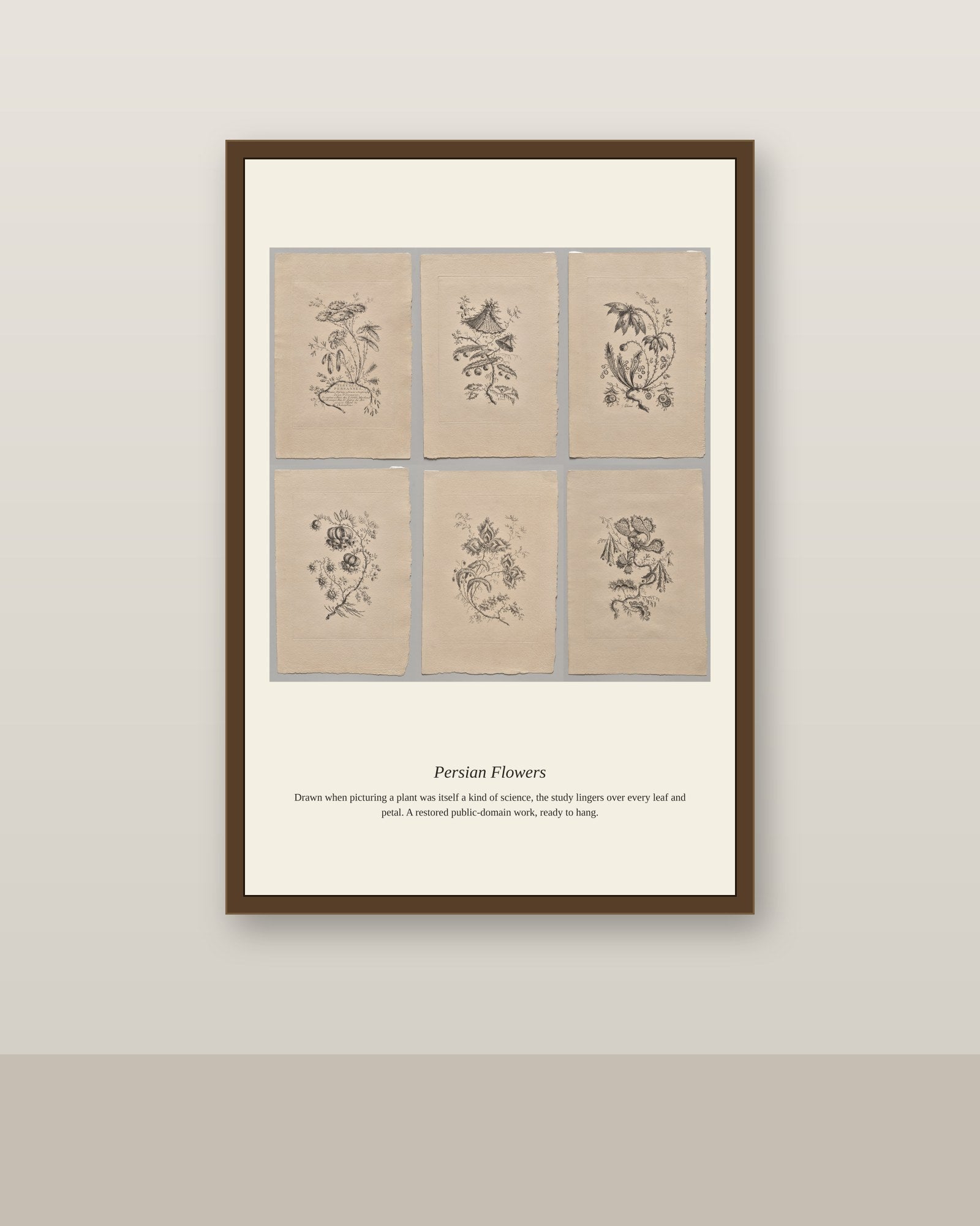 Persian Flowers (5) antique botanical print shown framed on a wall in a styled room