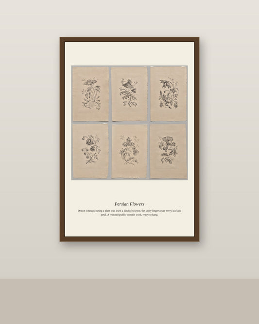 Persian Flowers (5) antique botanical print shown framed on a wall in a styled room