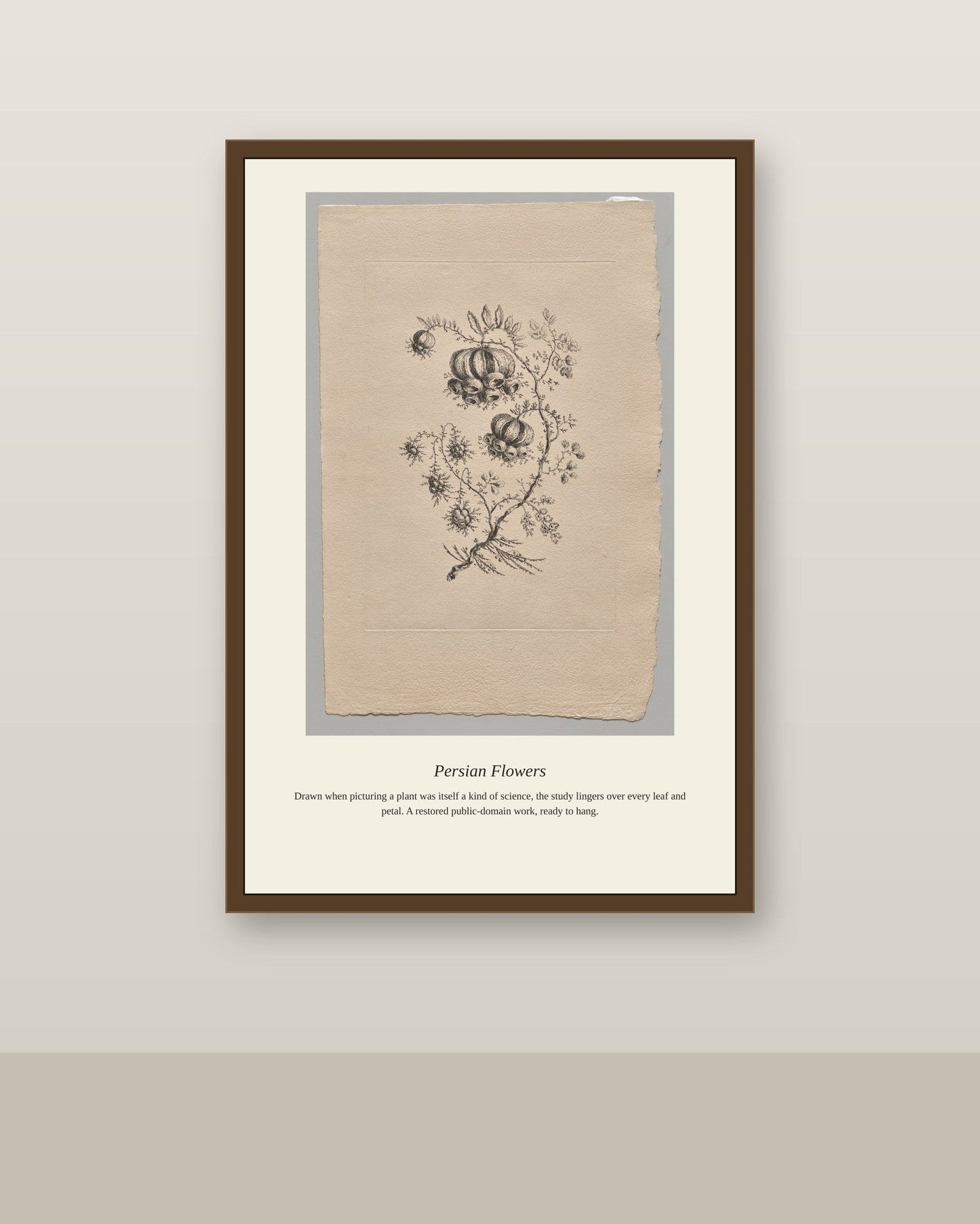 Persian Flowers (6) antique botanical print shown framed on a wall in a styled room