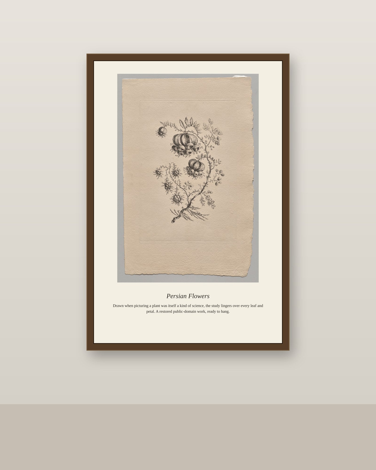 Persian Flowers (6) antique botanical print shown framed on a wall in a styled room