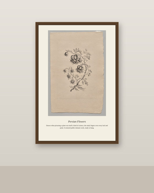Persian Flowers (6) antique botanical print shown framed on a wall in a styled room