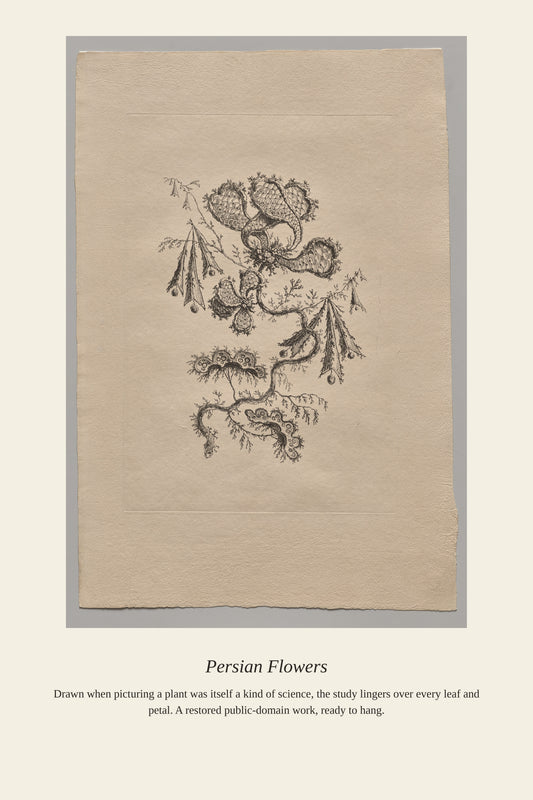 Persian Flowers (7) - Antique Botanical Print