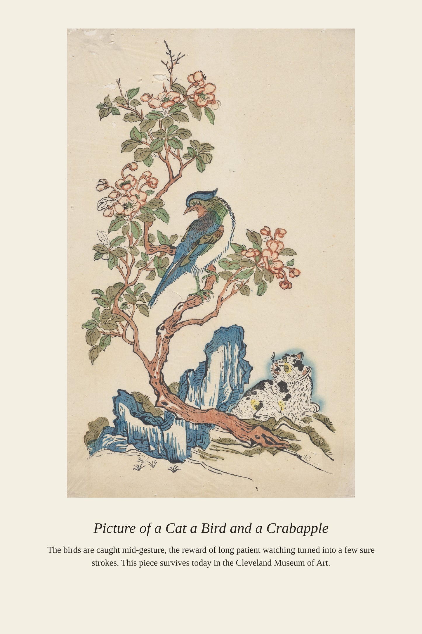 Picture of a Cat a Bird - Antique Natural History Print