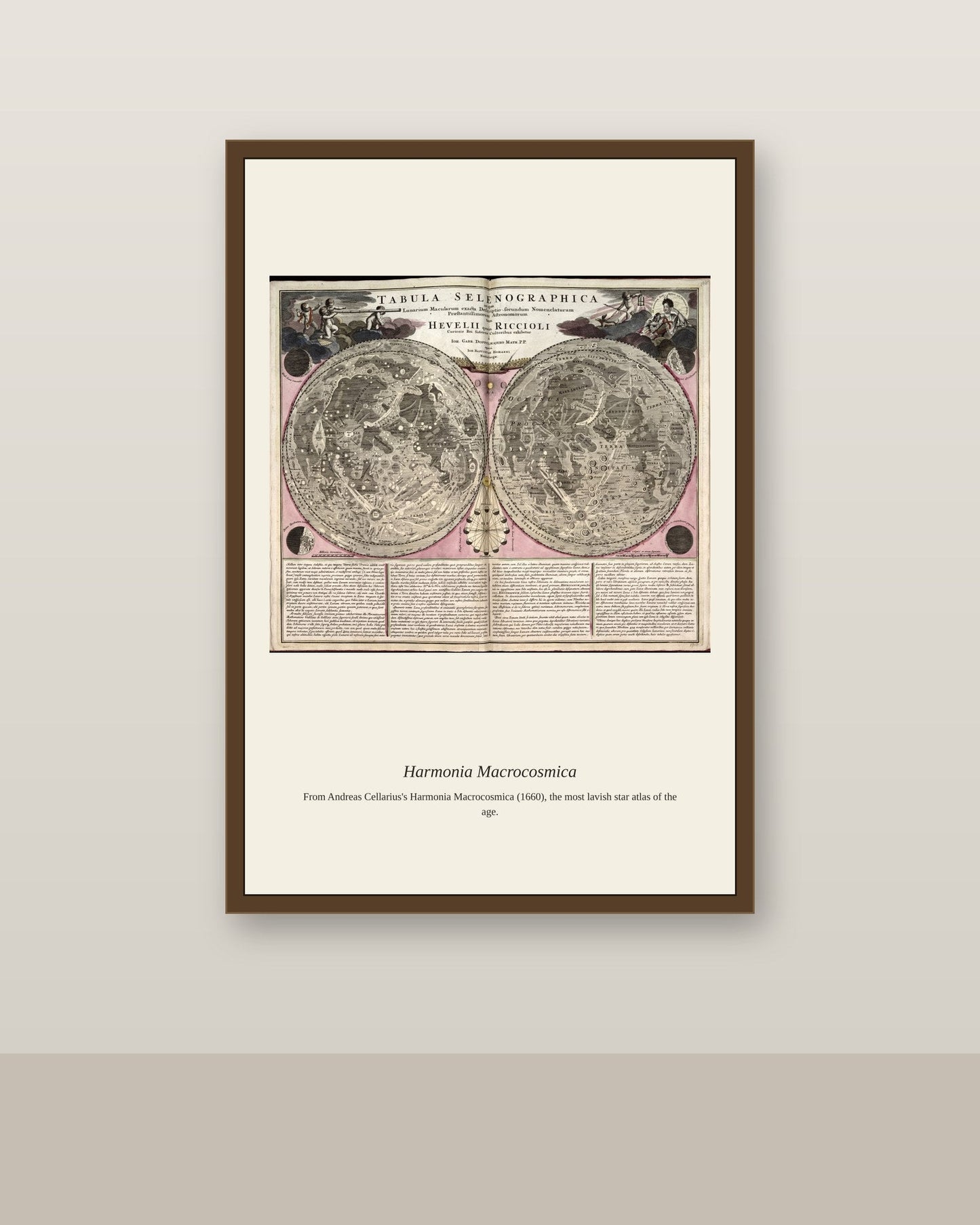 Portolan Chart of the Mediterranean (5) antique nautical chart print shown framed on a wall in a styled room