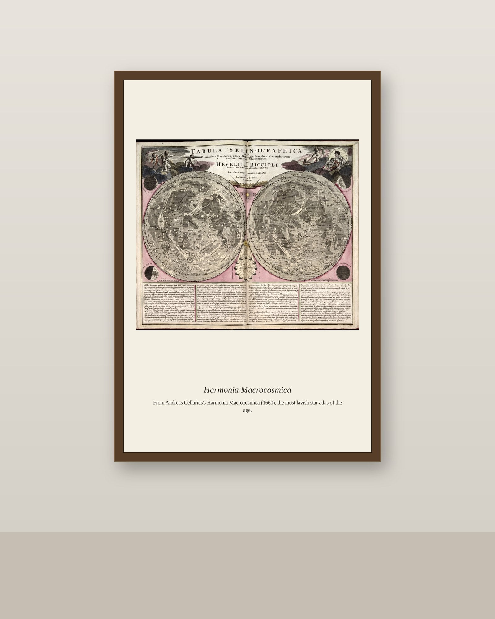 Portolan Chart of the Mediterranean (5) antique nautical chart print shown framed on a wall in a styled room