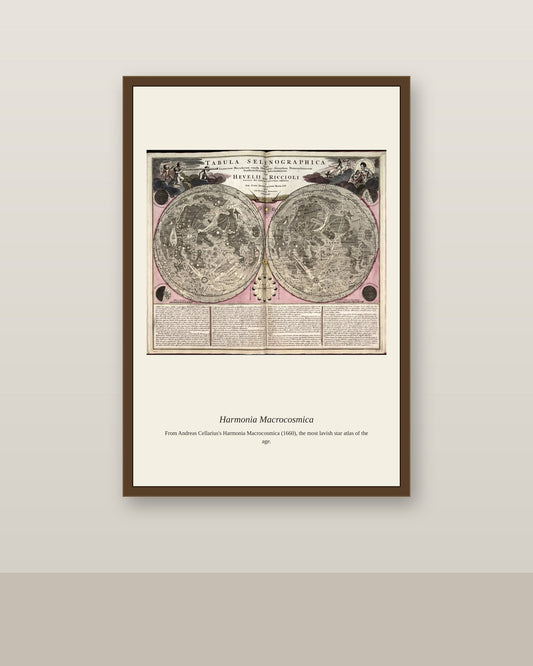 Portolan Chart of the Mediterranean (5) antique nautical chart print shown framed on a wall in a styled room