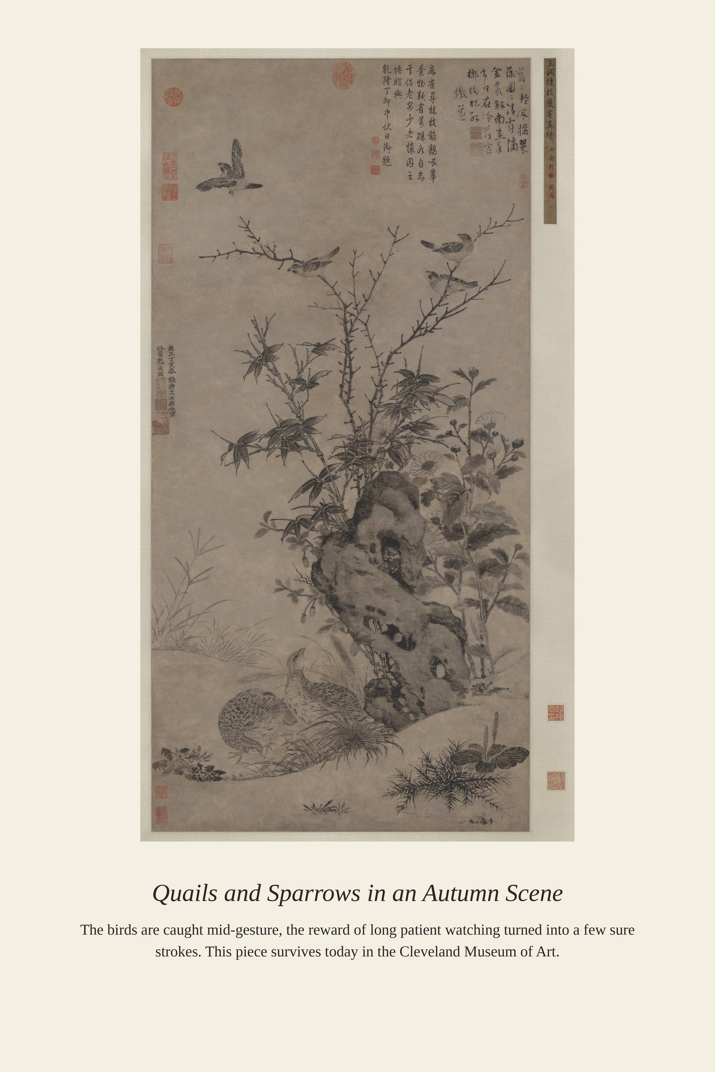 Quails and Sparrows in an Autumn Scene - Antique Natural History Print
