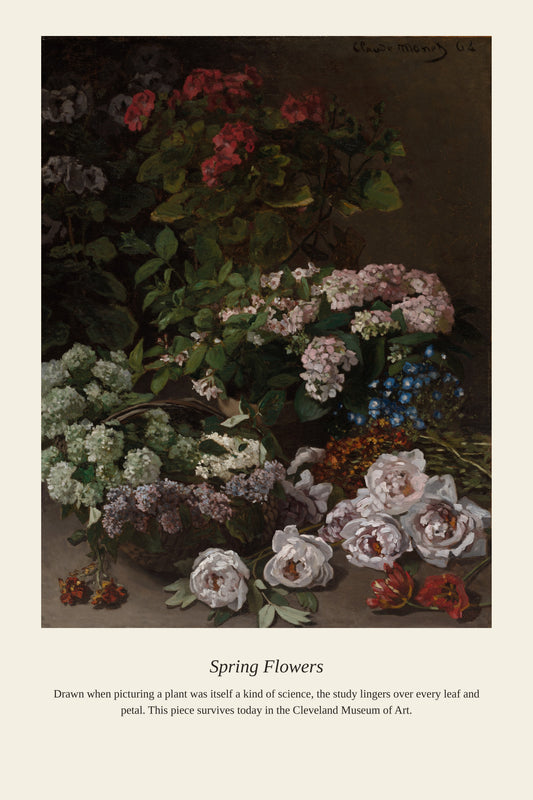 Spring Flowers - Antique Botanical Print