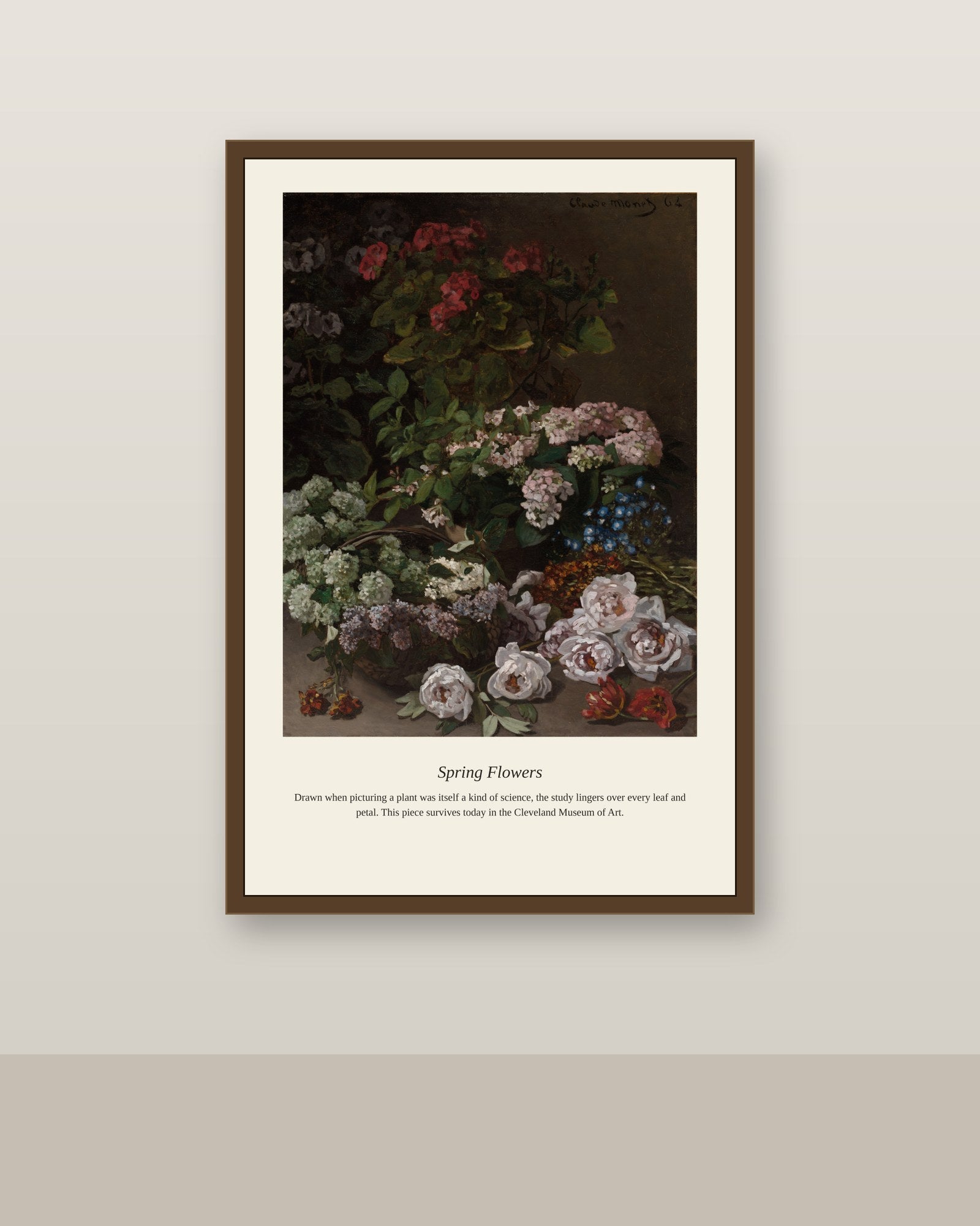 Spring Flowers antique botanical print shown framed on a wall in a styled room