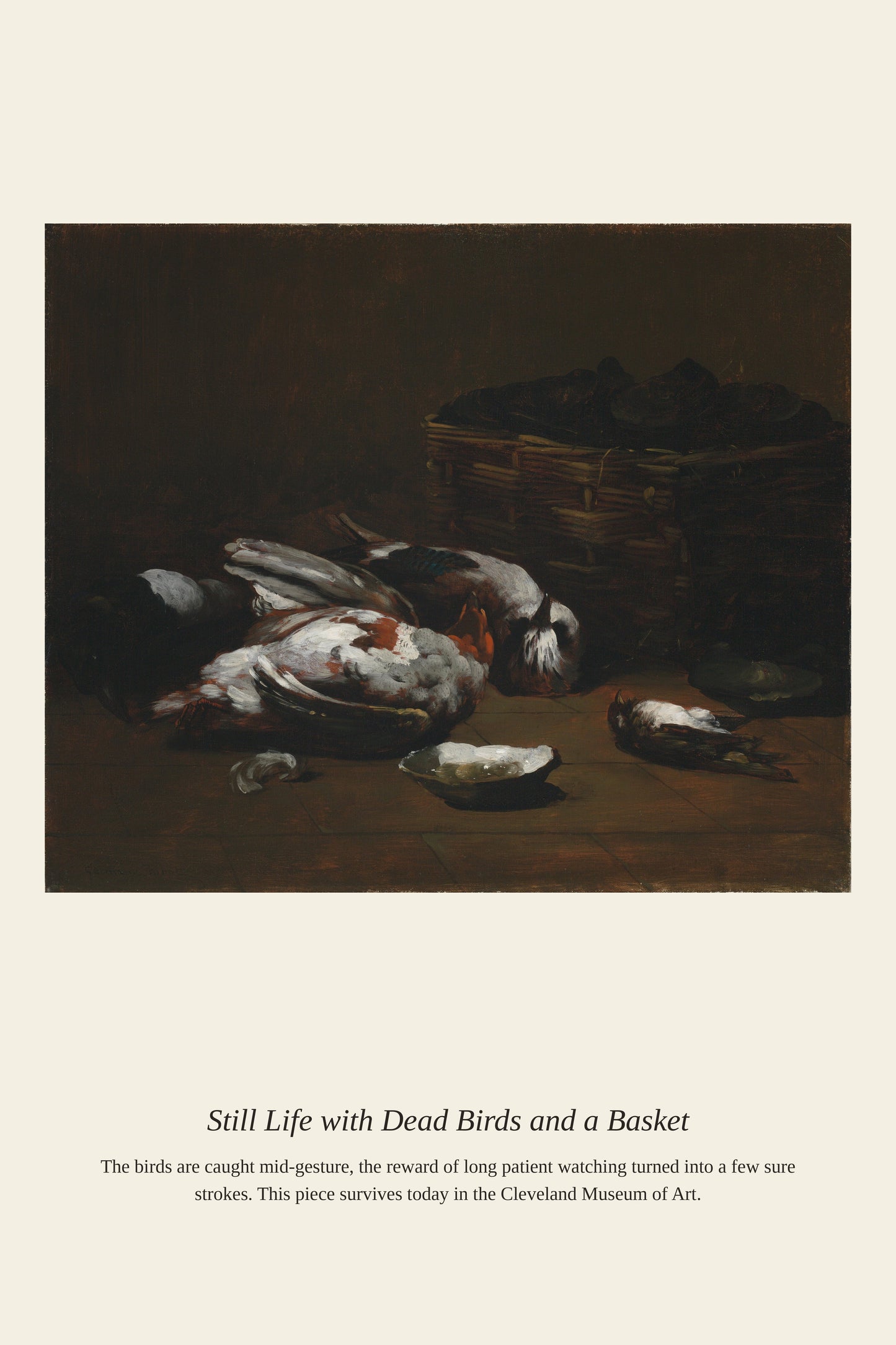 Still Life with Dead Birds - Antique Natural History Print