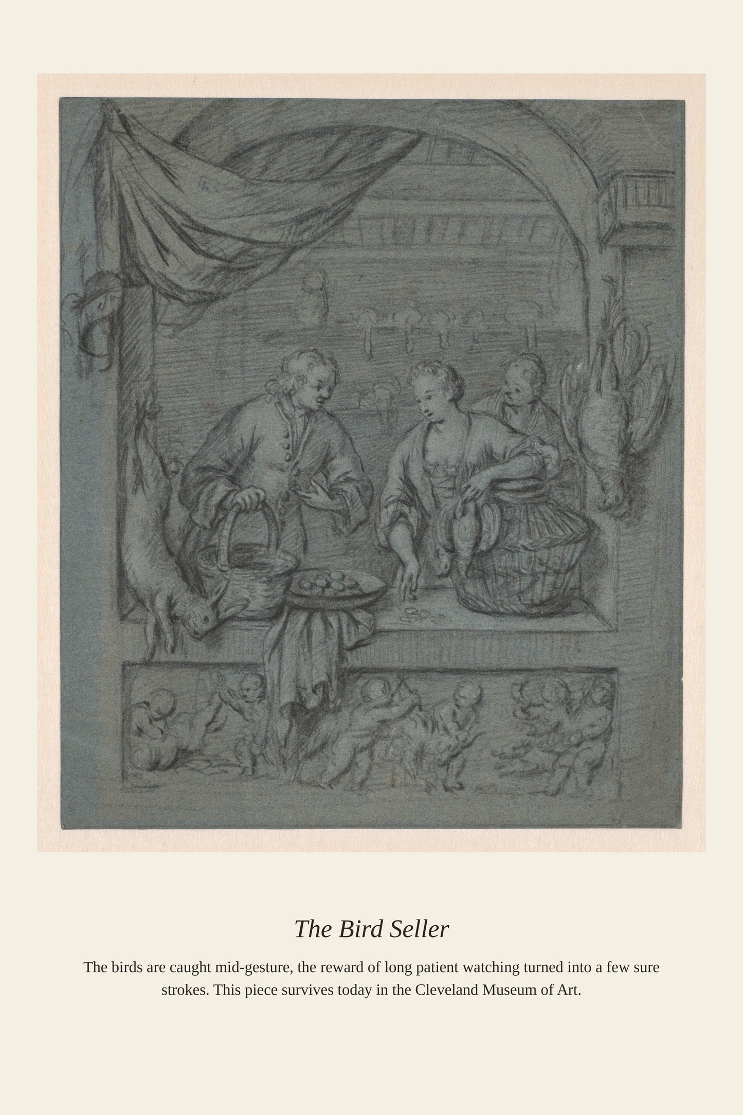 The Bird Seller - Antique Natural History Print
