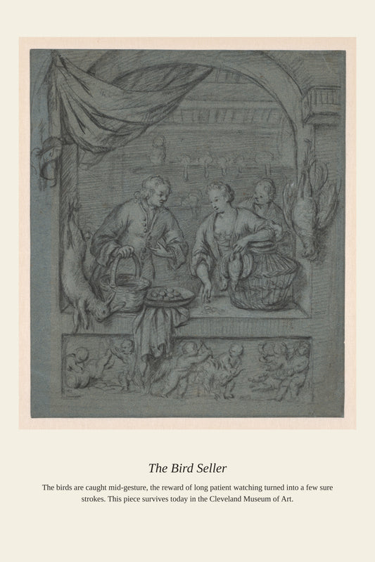 The Bird Seller - Antique Natural History Print