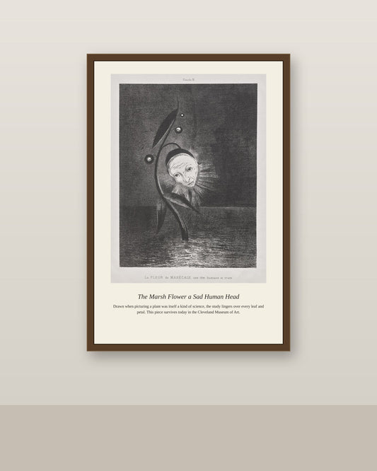 The Marsh Flower a Sad Human Head antique botanical print shown framed on a wall in a styled room