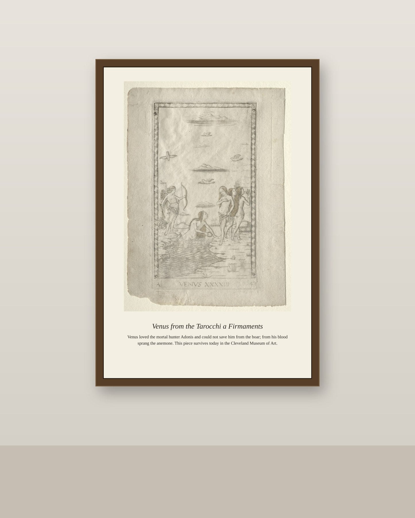 Venus, Mantegna Tarocchi antique celestial print shown framed on a wall in a styled room