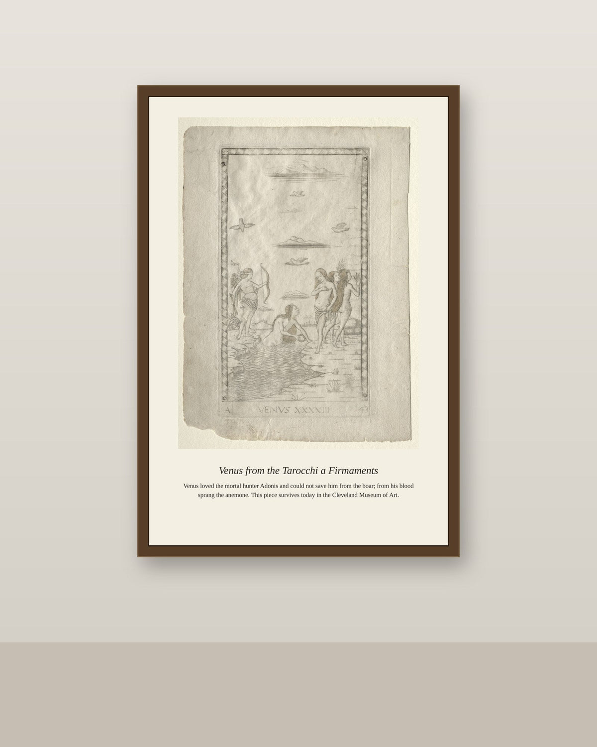 Venus, Mantegna Tarocchi antique celestial print shown framed on a wall in a styled room