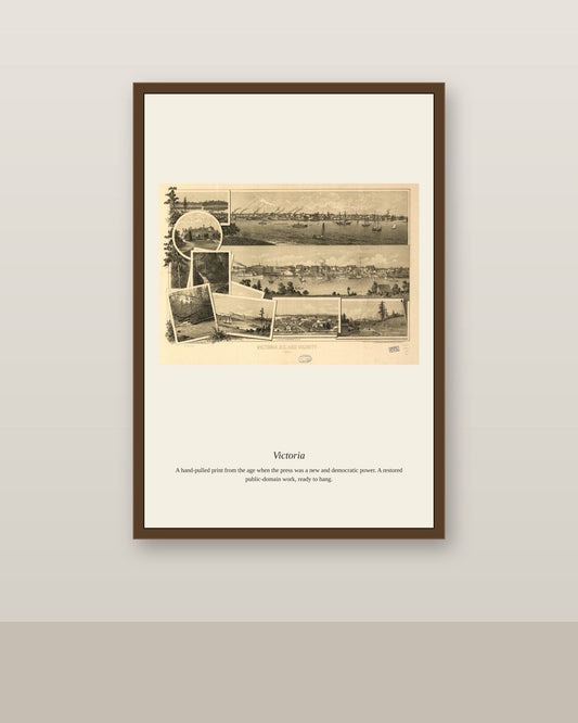 Victoria antique map print shown framed on a wall in a styled room