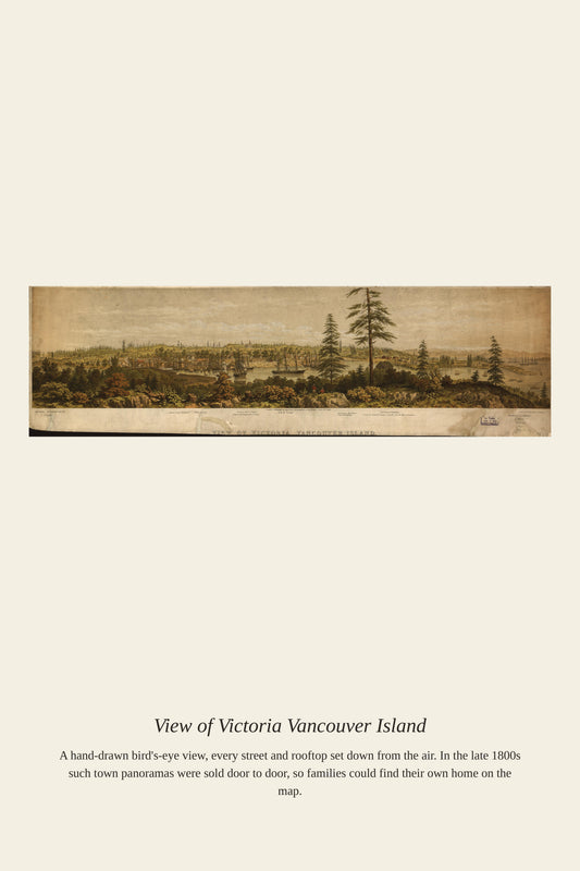 View of Victoria Vancouver Island antique map print, wide sepia panorama from hilltop with tall conifers and distant harbor