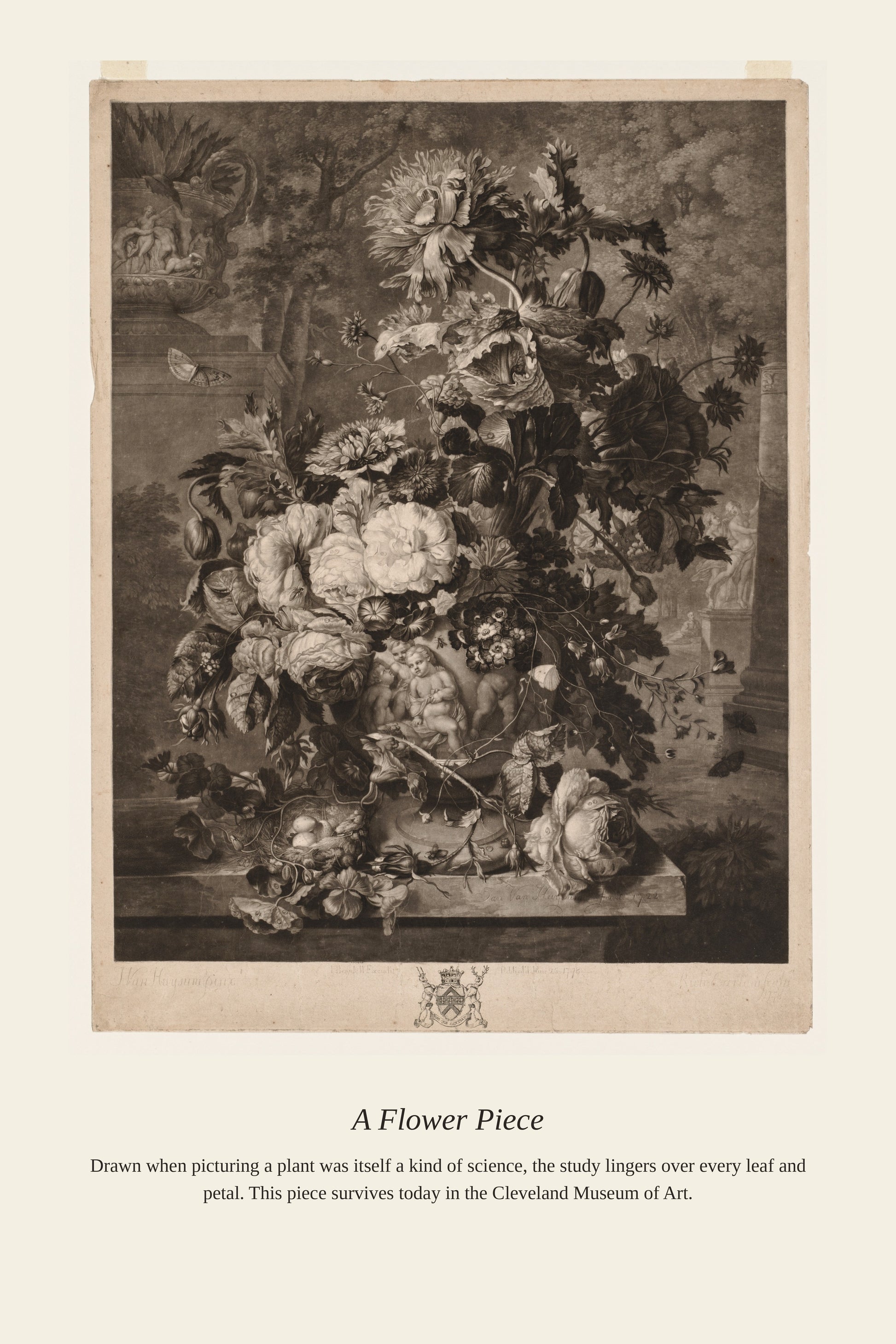 A Flower Piece — a restored antique botanical print
