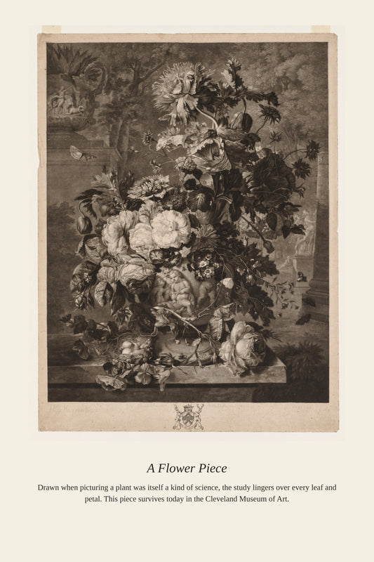 A Flower Piece — a restored antique botanical print