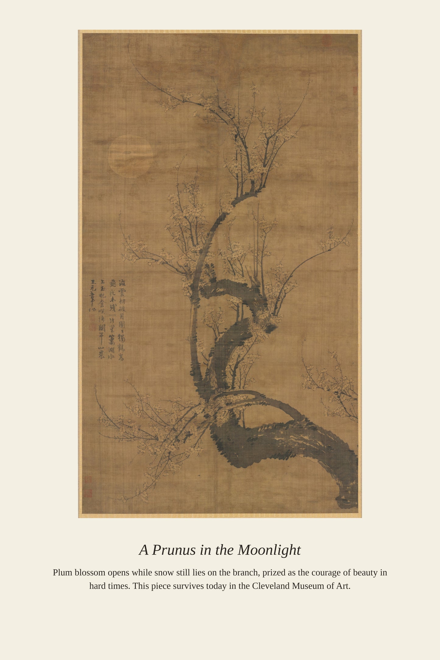 A Prunus in the Moonlight — a restored antique asian art print