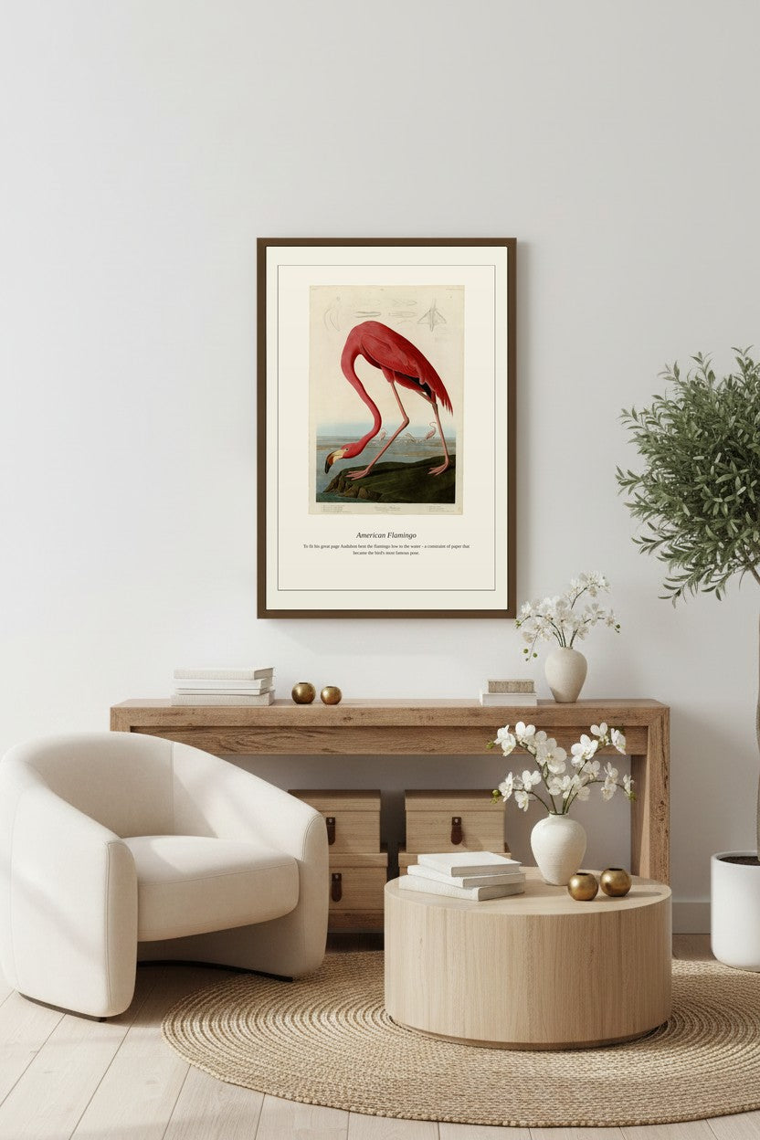 Audubon American Flamingo hanging above a light wood console beside a cream armchair