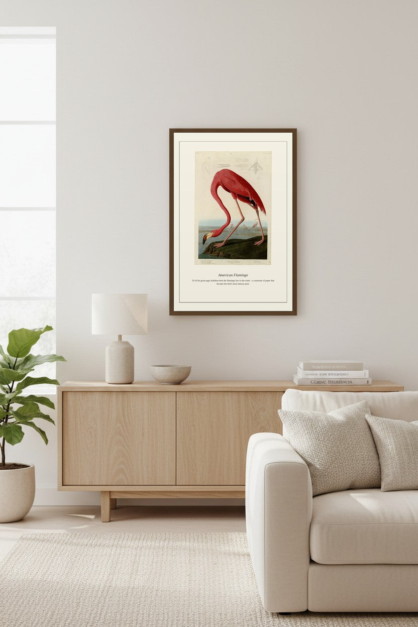 Audubon American Flamingo displayed above a light wood sideboard near a tall curtained window