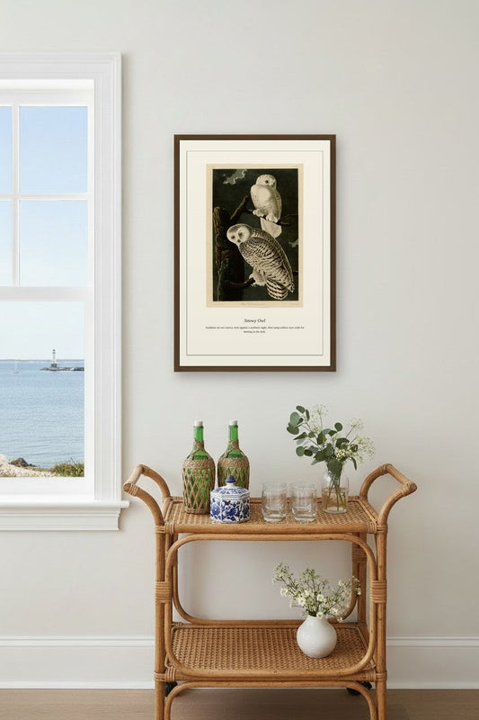 Audubon Snowy Owl — Antique Bird Print