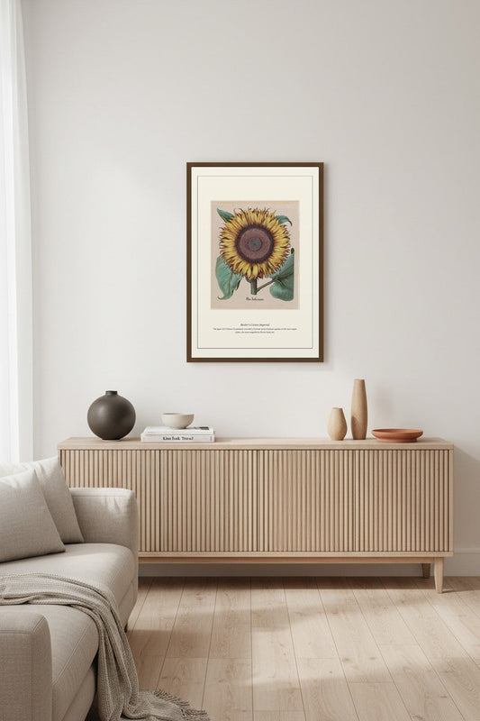Besler's Crown Imperial — Antique Botanical Print