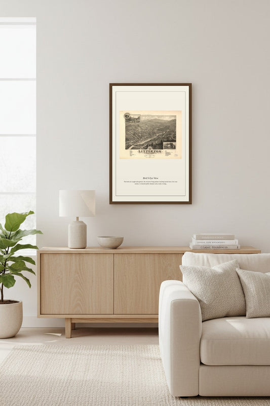 Bird's Eye View (13) — Antique Map Print