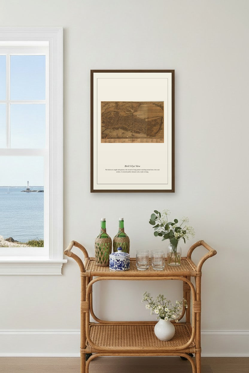 Bird's Eye View (5) — Antique Map Print