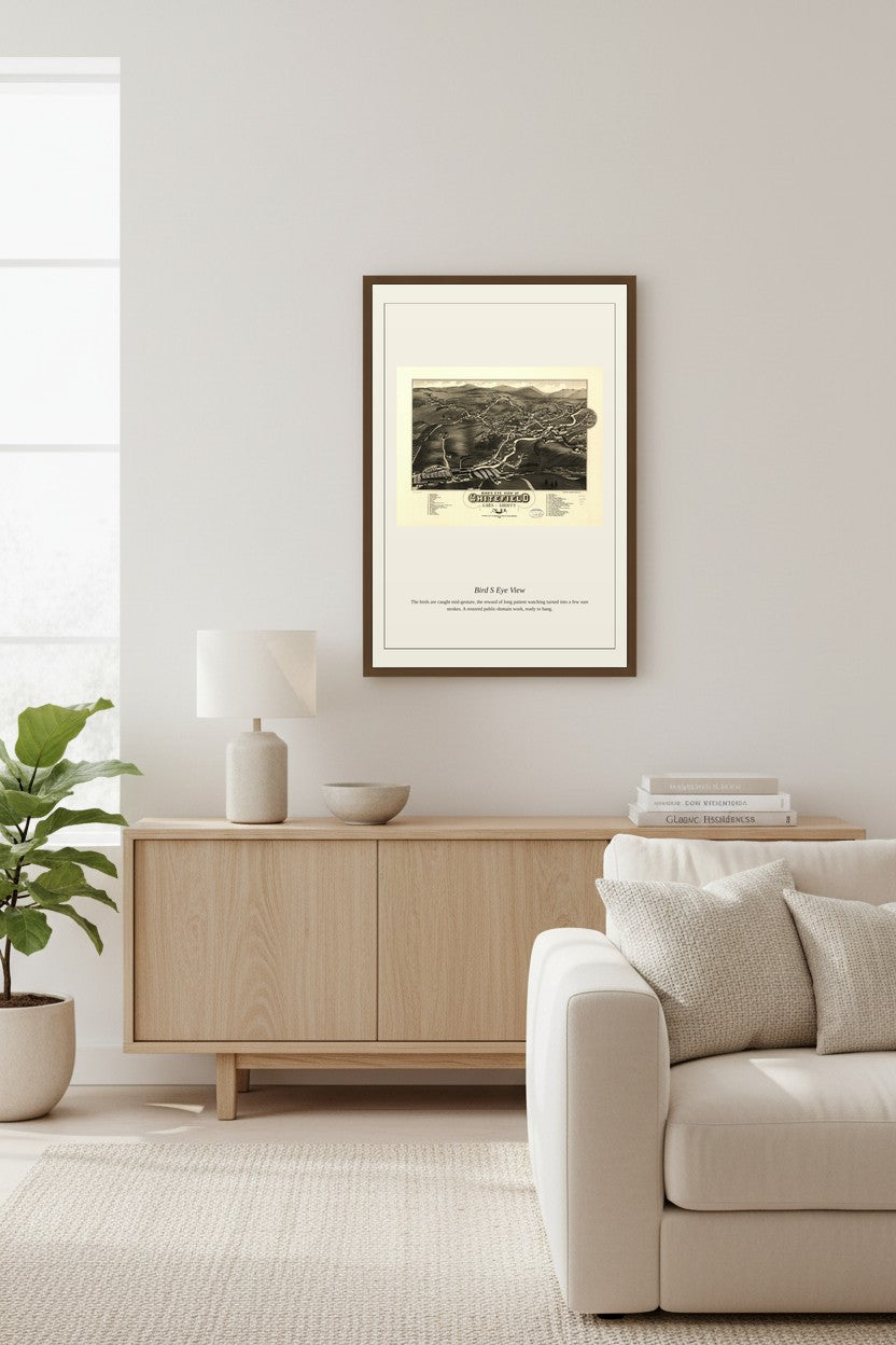 Bird's Eye View (7) — Antique Map Print