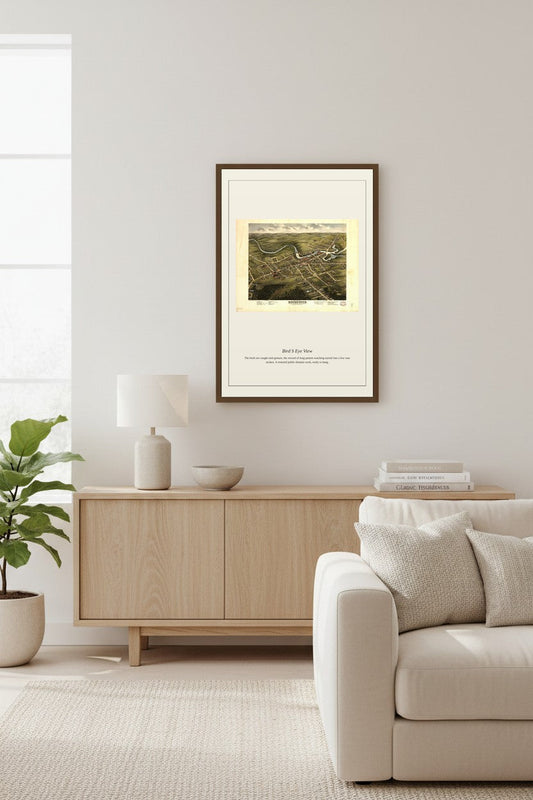 Bird's Eye View — Antique Map Print
