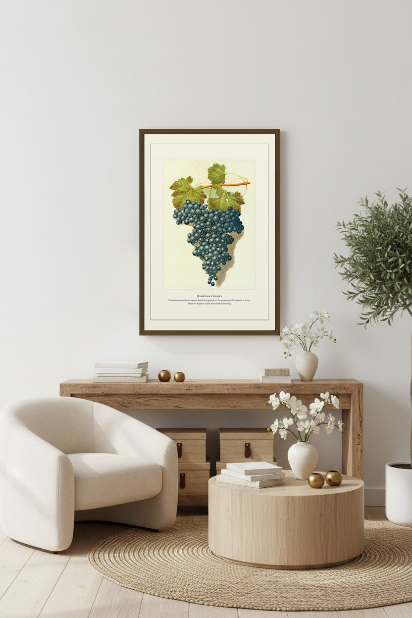Brookshaw's Grapes — Antique Botanical Print