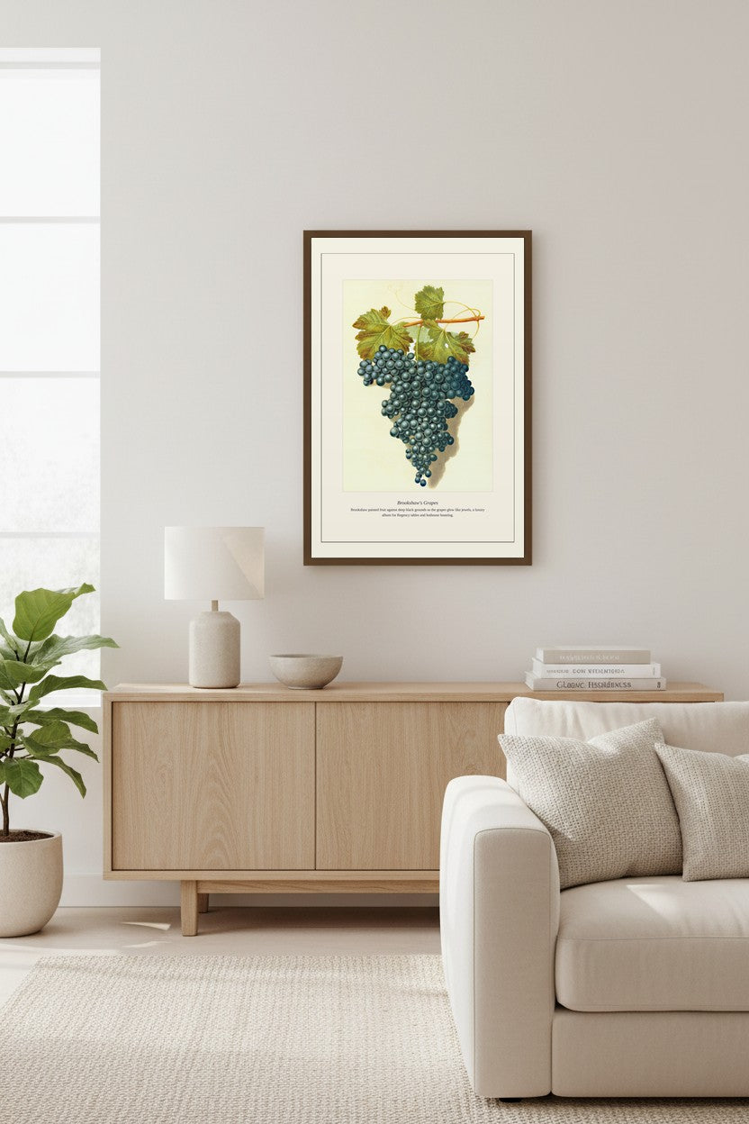 Brookshaw's Grapes — Antique Botanical Print